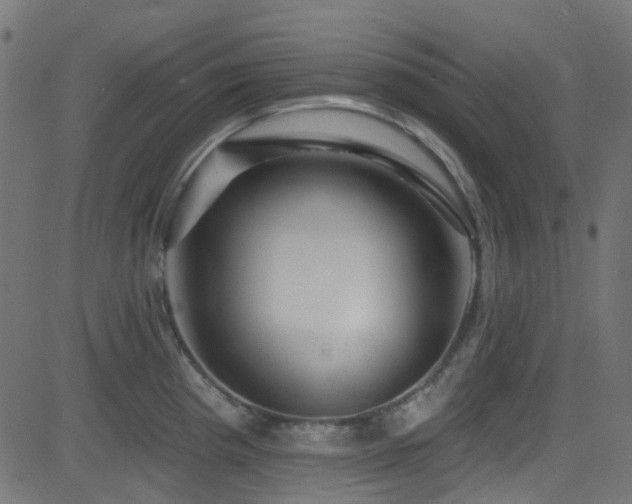 X0000082961193200702011259