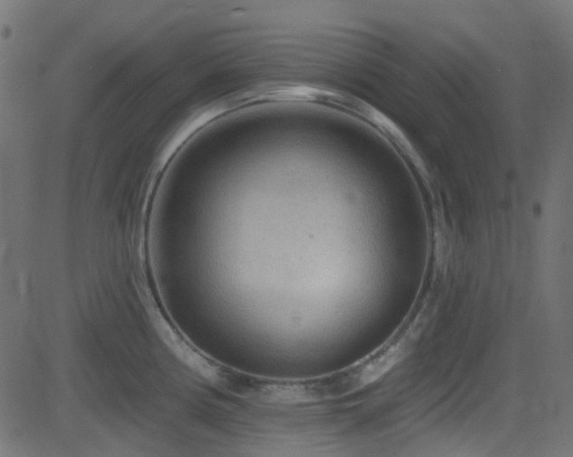 X0000082961194200702011259