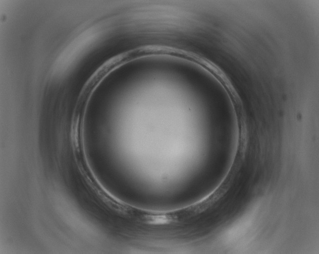 X0000082961199200702011259