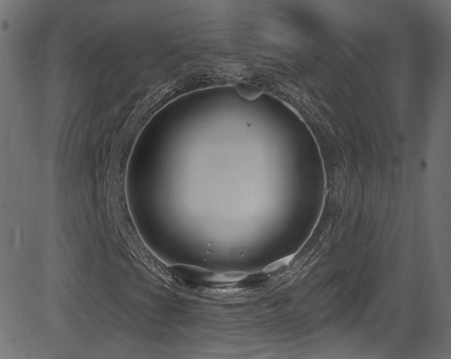 X0000082961201200702011259