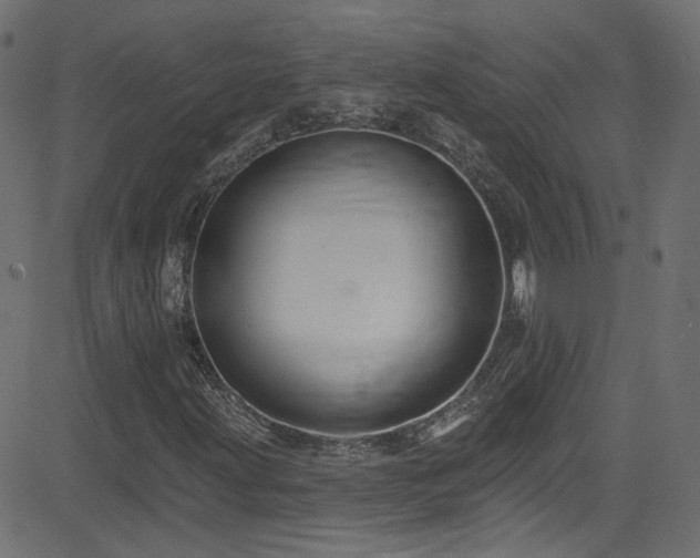 X0000082961203200702011259