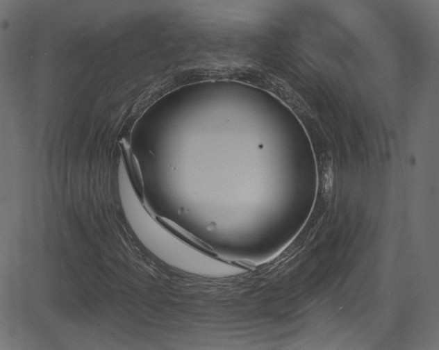 X0000082961204200702011259