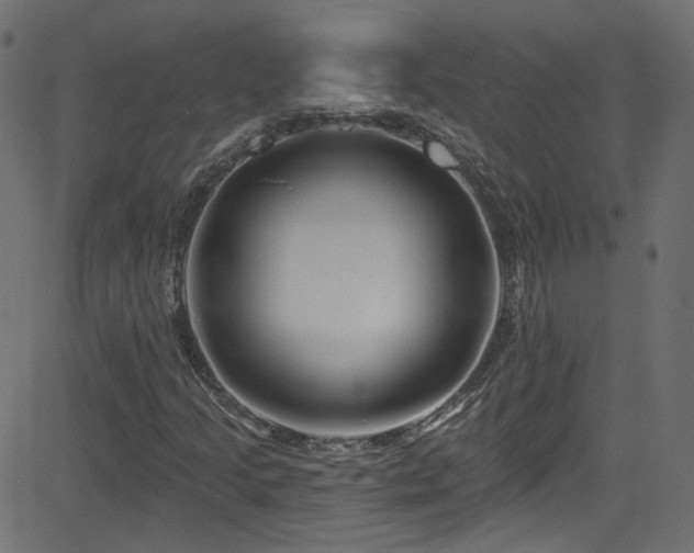 X0000082961205200702011259