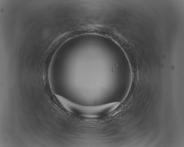 X0000082961206200702011259