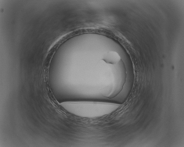 X0000082961208200702011259