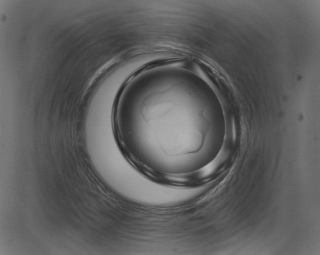 X0000082961210200702011259