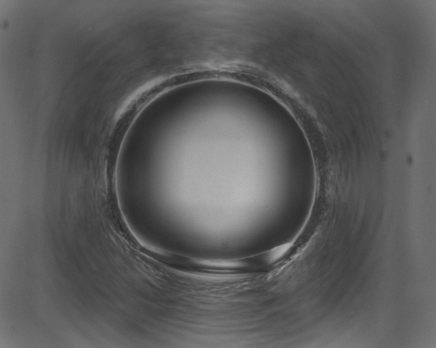 X0000082961214200702011259