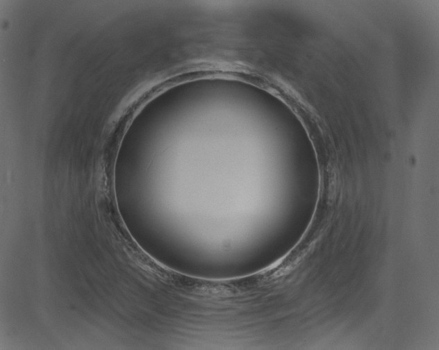 X0000082961215200702011259