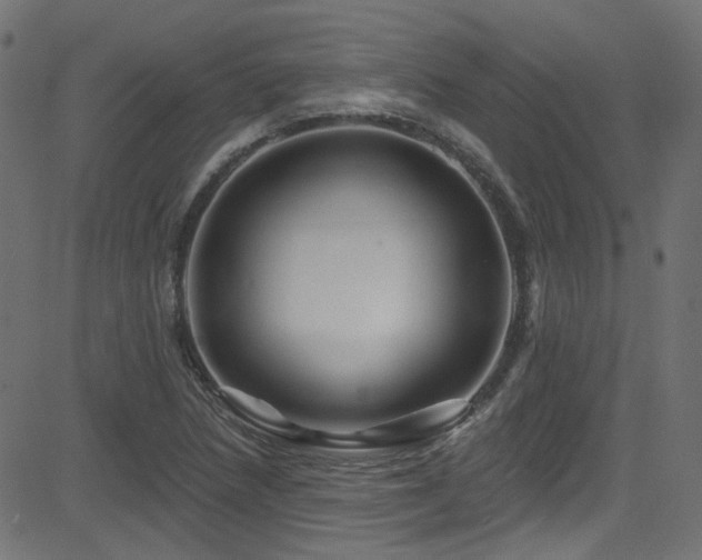 X0000082961218200702011259