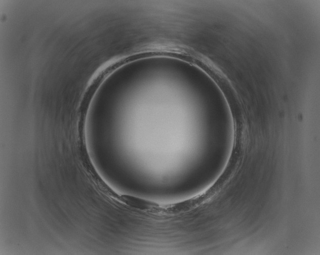 X0000082961222200702011259