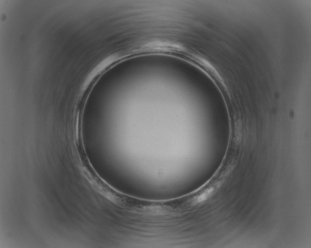 X0000082961227200702011259