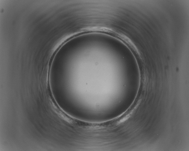 X0000082961228200702011259