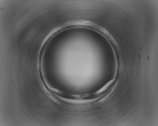 X0000082961232200702011259