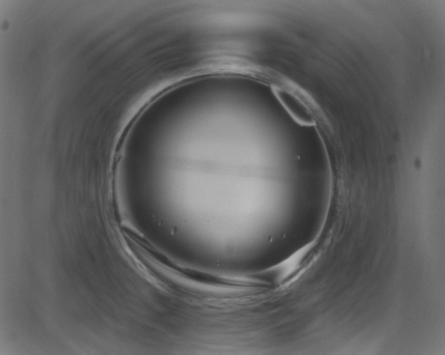 X0000082961236200702011259