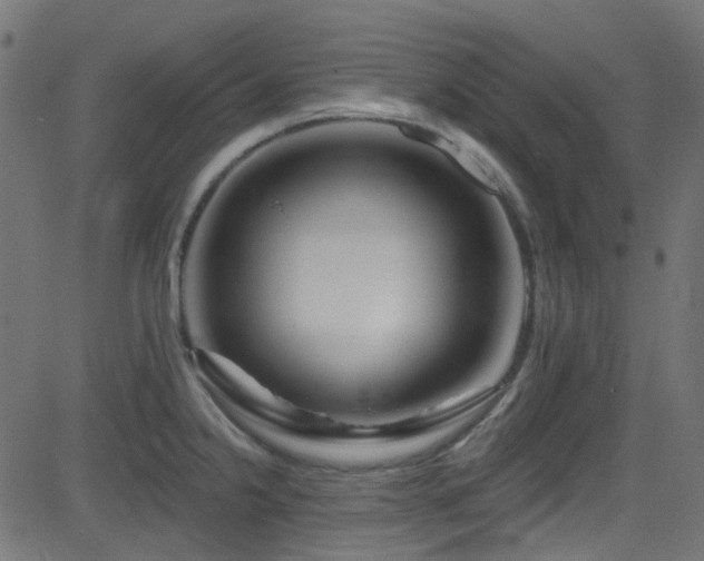 X0000082961238200702011259