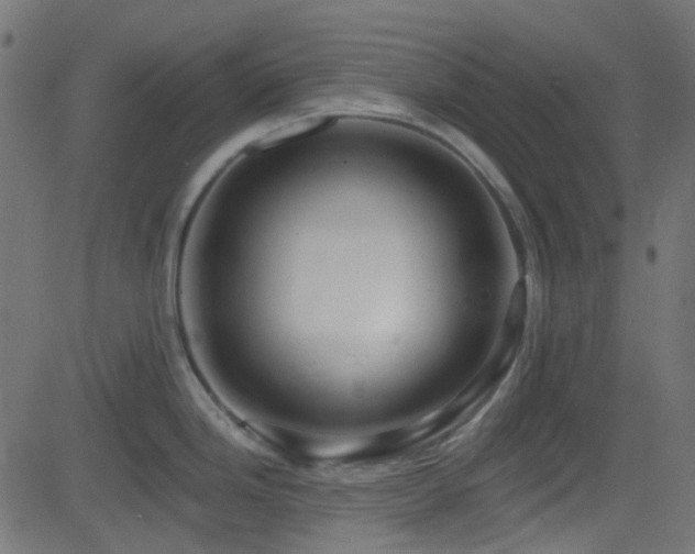 X0000082961246200702011259