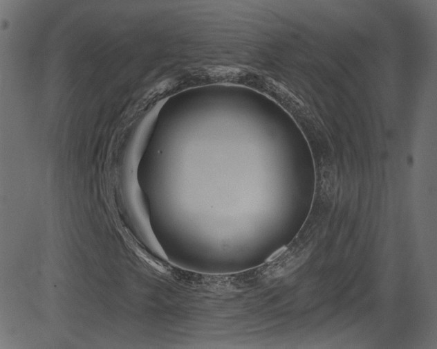 X0000082961249200702011259