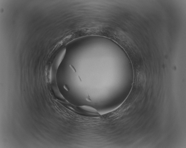 X0000082961250200702011258