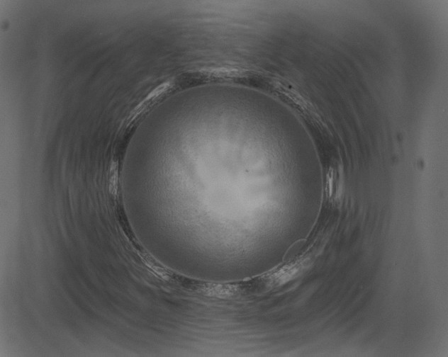 X0000082961251200702011258