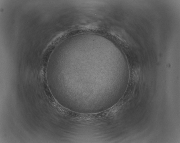 X0000082961254200702011258