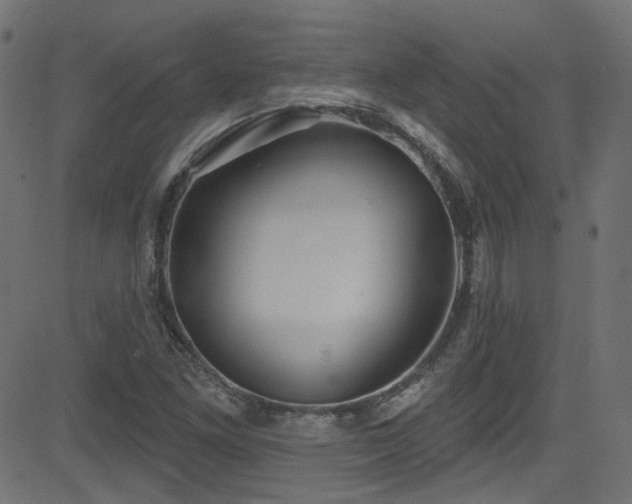 X0000082961261200702011258