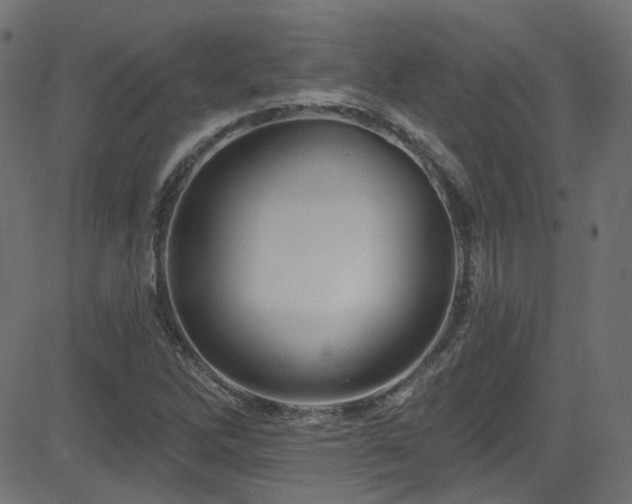 X0000082961262200702011258