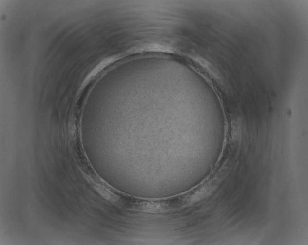 X0000082961266200702011258