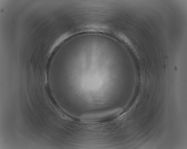 X0000082961267200702011258