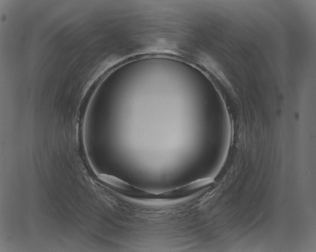 X0000082961268200702011258