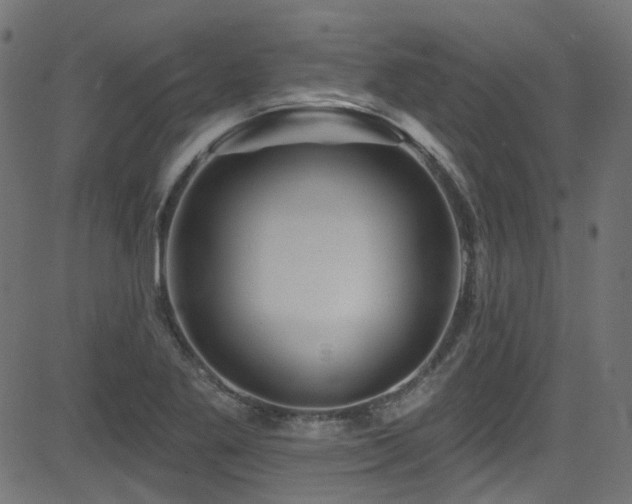 X0000082961269200702011258