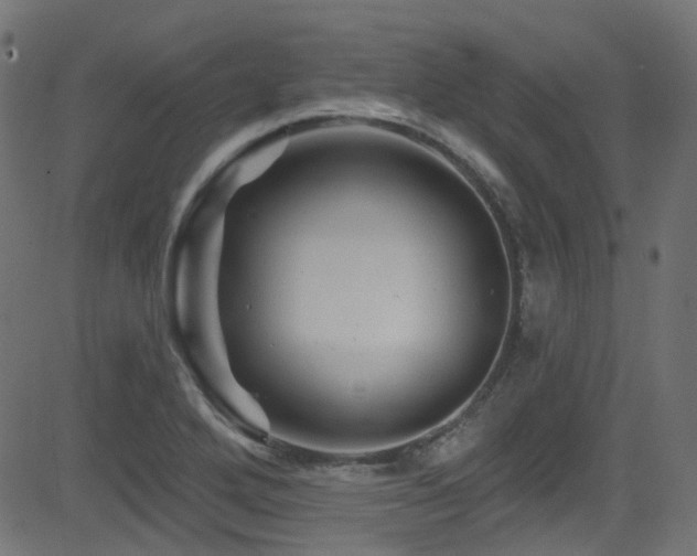 X0000082961272200702011258