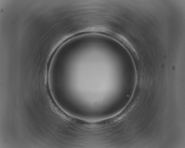 X0000082961276200702011258