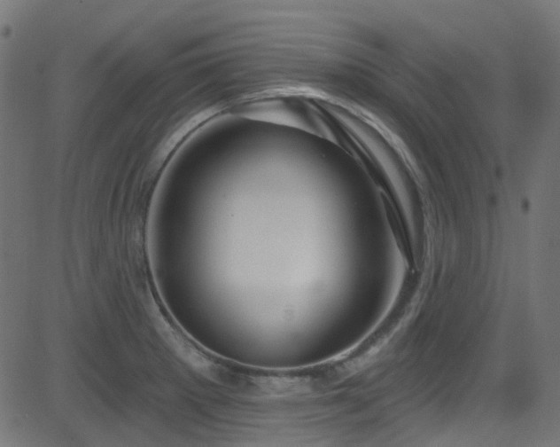 X0000082961281200702011258