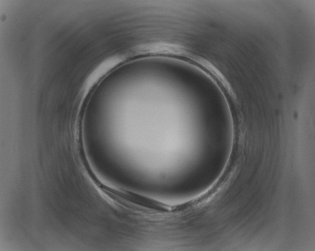 X0000082961285200702011258