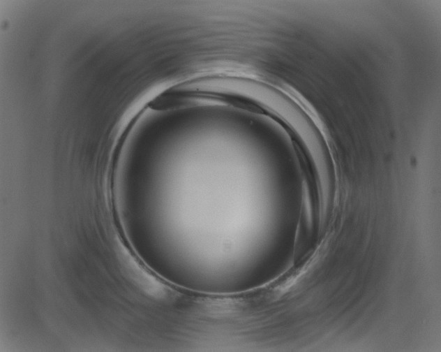X0000082961293200702011258