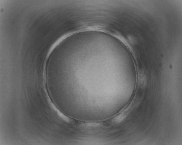 X0000082961294200702011258