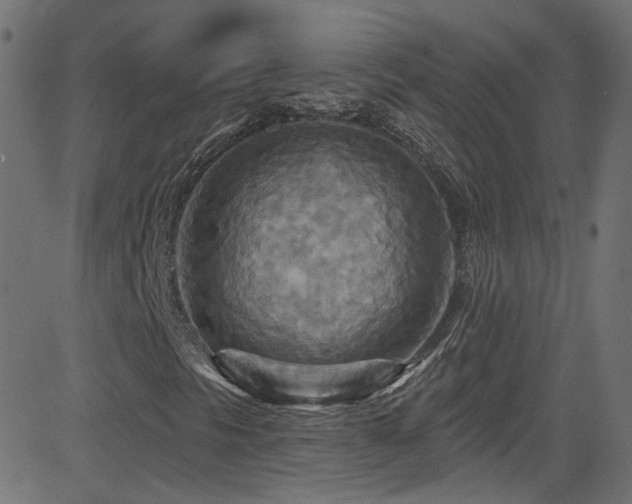 X0000082961297200702011257