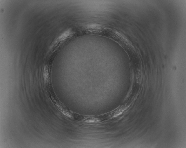 X0000082961298200702011257