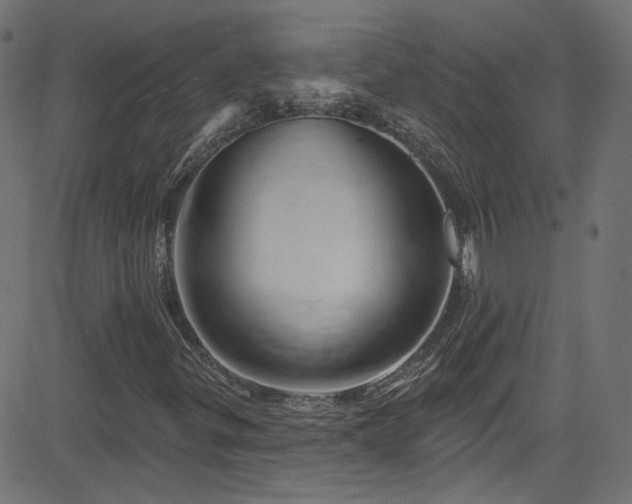 X0000082961299200702011257