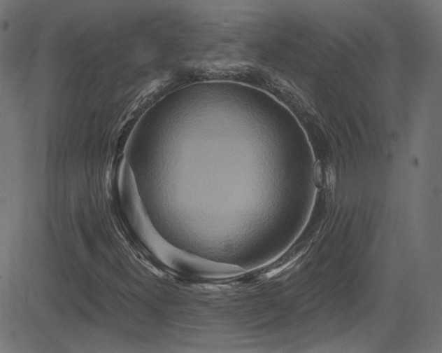 X0000082961300200702011257