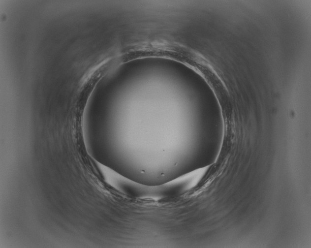 X0000082961304200702011257