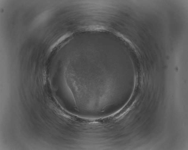 X0000082961306200702011257