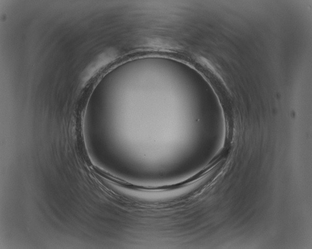 X0000082961307200702011257