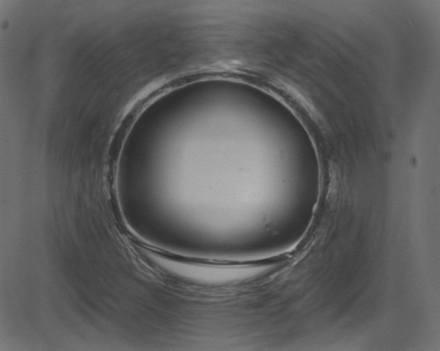 X0000082961308200702011257