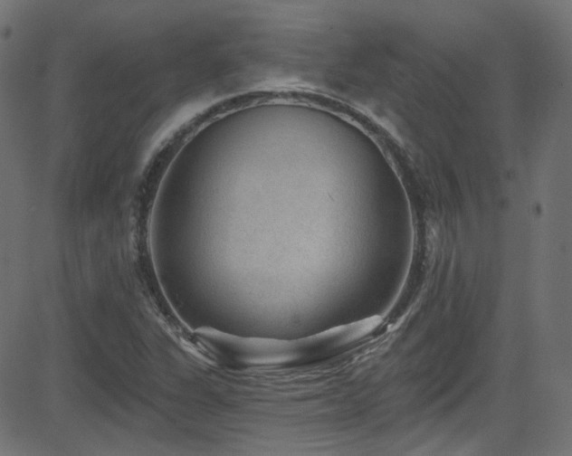 X0000082961311200702011257