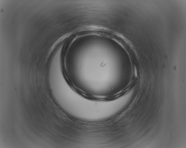 X0000082961314200702011257