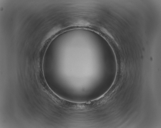 X0000082961315200702011257