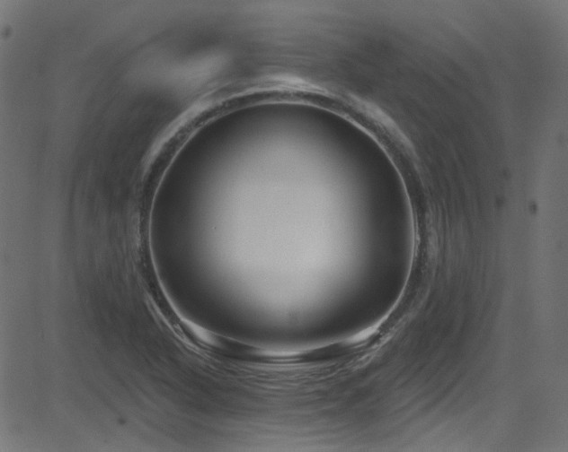 X0000082961318200702011257