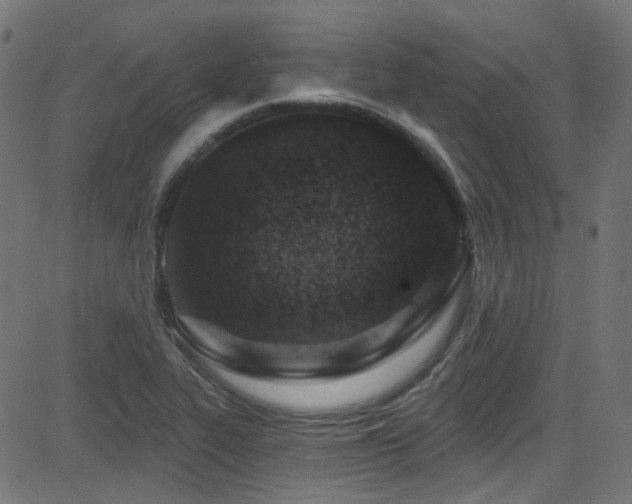 X0000082961319200702011257