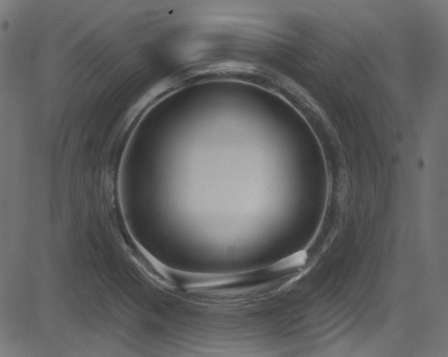 X0000082961321200702011257